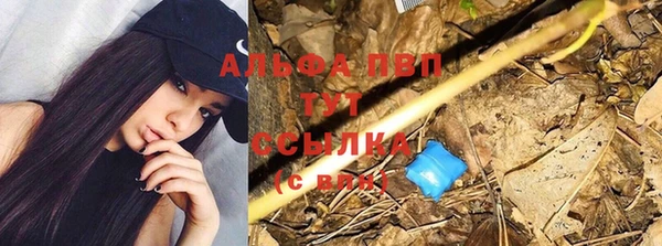 скорость Белокуриха