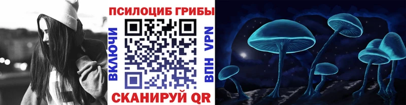 Псилоцибиновые грибы прущие грибы  Мариинский Посад 